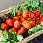 Летни рецепти с домати, краставици, тиквички, патладжан, зелен боб, свежи подправки