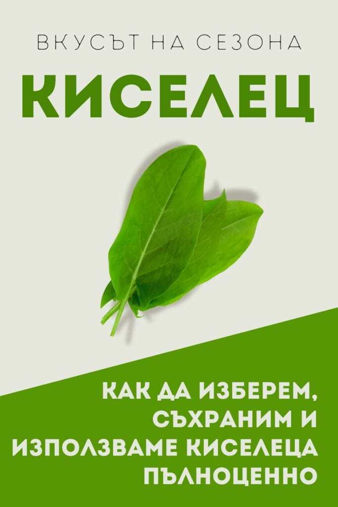 Вкусът на сезона - киселец